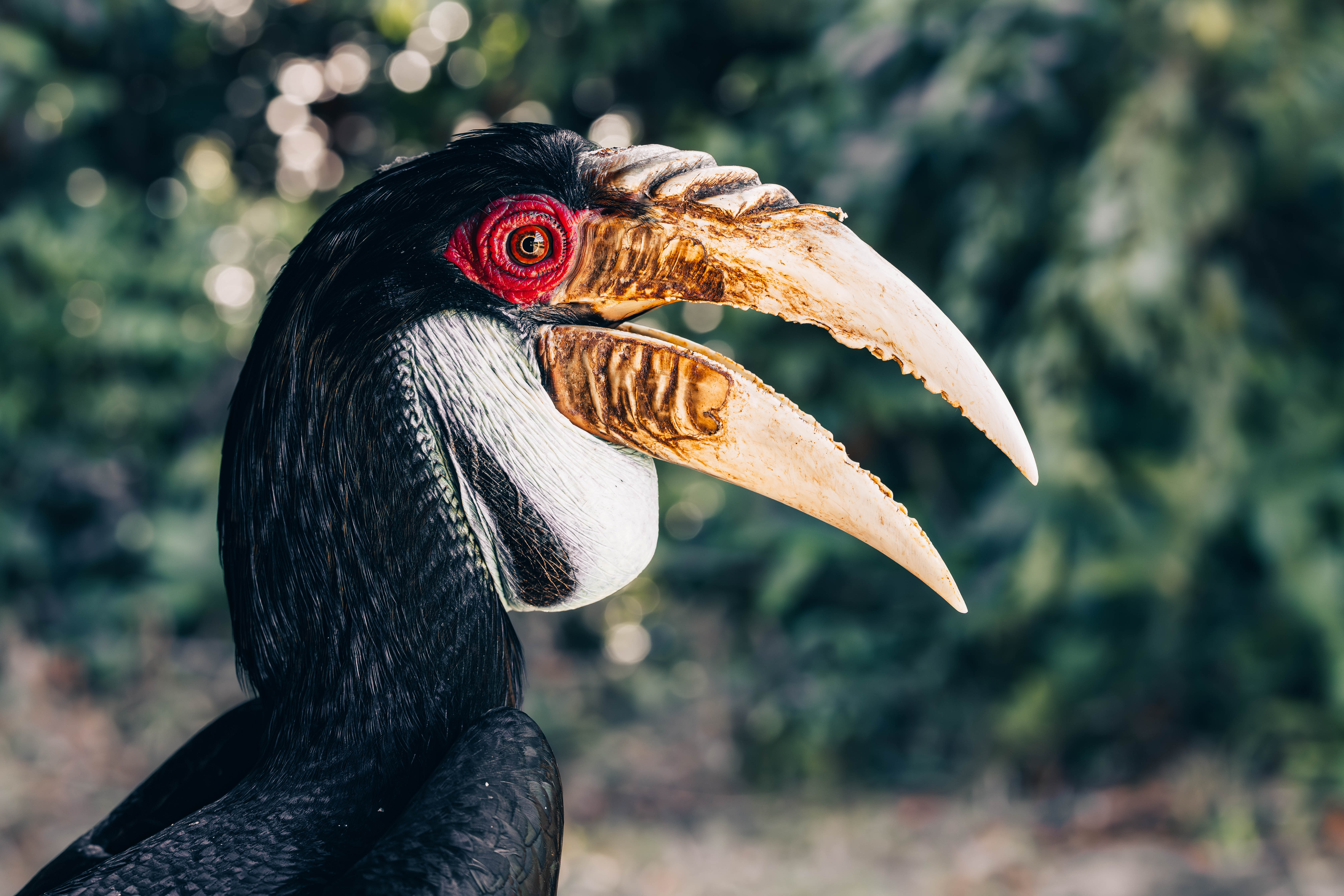 Architecture of a Bill