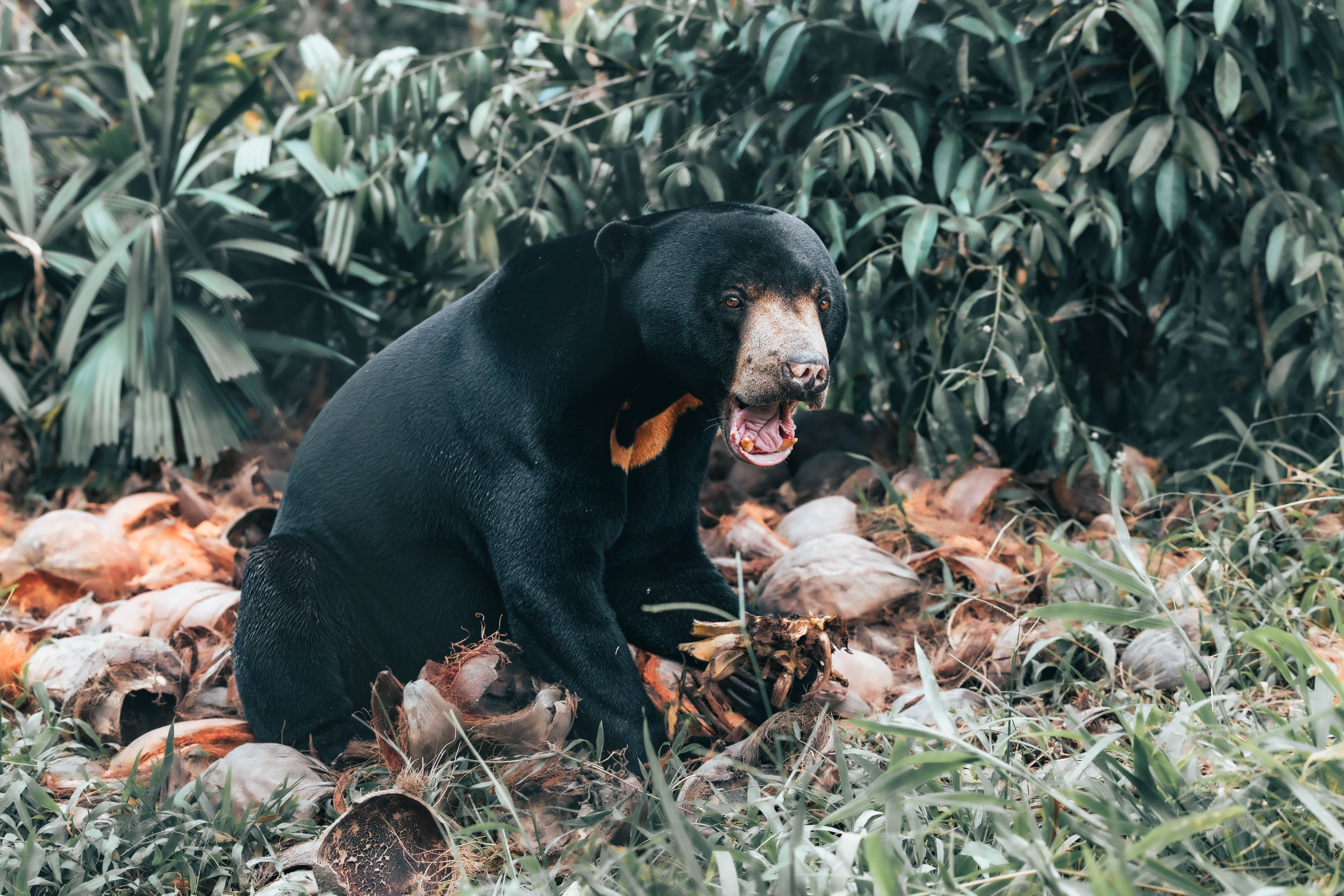 Photography Mentoring